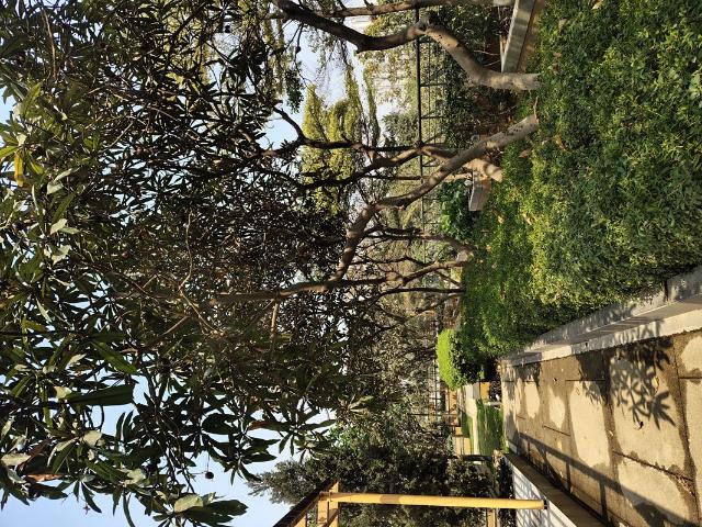Rental | 3 BHK + Pooja Room 2335 Sq.Ft. Apartment in Rajapushpa Provincia