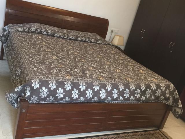 Rental | 3 BHK + Pooja Room 300 Sq.Yd. Apartment in Sector 25