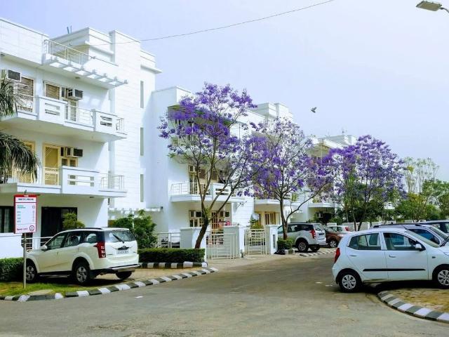 Rental | 3 BHK + Pooja Room,Basement,Store Room 2700 Sq.Ft. Apartment in BPTP Amstoria
