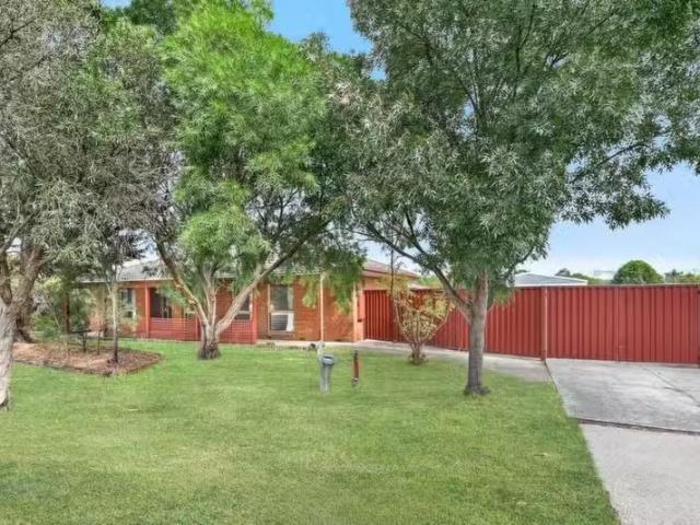 For Rent! 3 BR 4 LACHLAN Close, Cranbourne North VIC 3977 Ho.