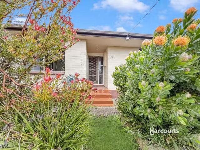 Deal! 3 BR 14 Yaxley Street, PENGUIN, TAS 7316 House for Rent