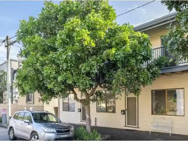 Cozy 3 BR 16 Zaara Street, Newcastle East Apartment for rent.