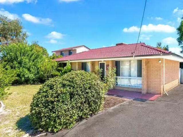 Cheap 3 BR 19 Solandra Way, Forrestfield, WA 6058