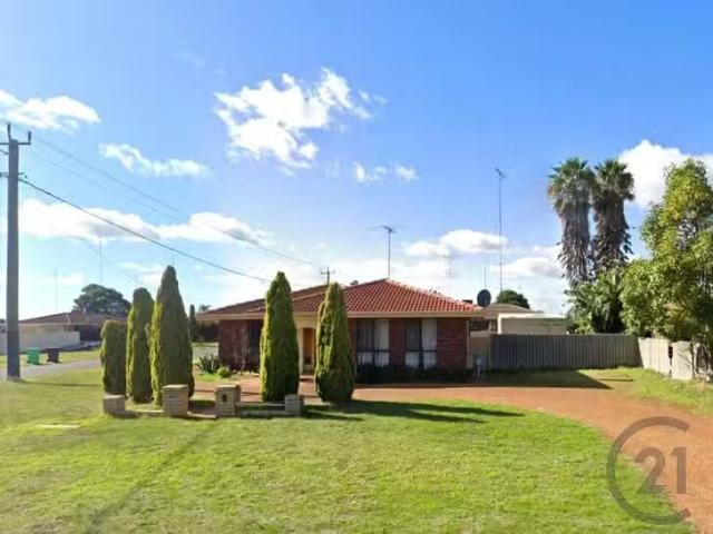 For Rent! 3 Dalhousie Street, Carey Park, WA 6230