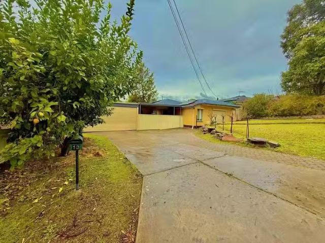 Cheap 13 Robin Terrace, Hope Valley, SA 5090