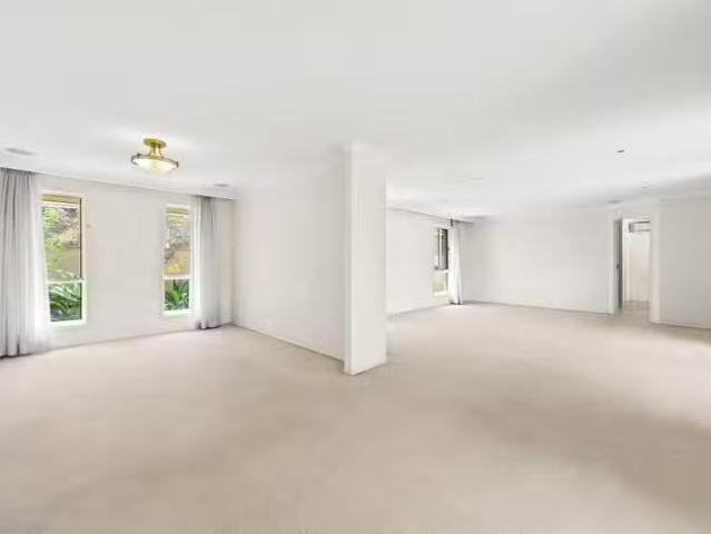 Just in! 17 Jaguar Drive, Bundall, QLD 4217