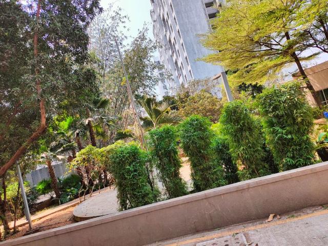 Rental | 1.5 BHK 750 Sq.Ft. Apartment in Pate West Coast Park