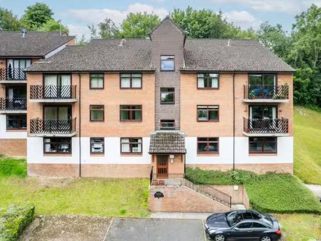 Unique 1 BA 1 bedroom flat for rent in Hillside Road, Whytelea.