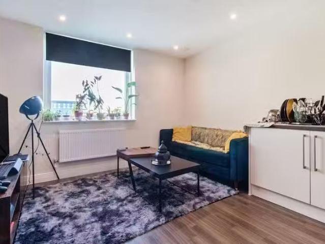 For Rent! 1 BA Studio flat for rent in Empire House, Bessemer.