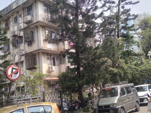 Rental | 1 BHK 350 Sq.Ft. Apartment in Adarsh Nagar CHS Worli