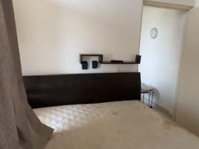 Rental | 1 BHK + 365 Sq.Ft. Apartment in Signature Global Synera