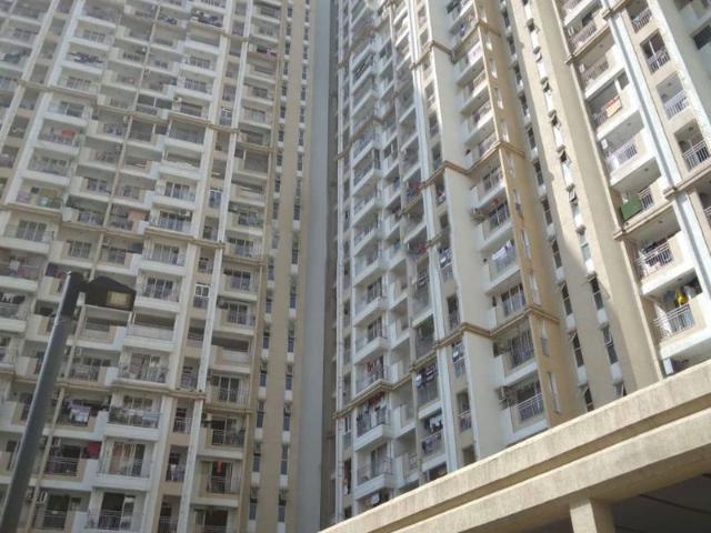 Rental | 1 BHK 450 Sq.Ft. Apartment in JP North Elara