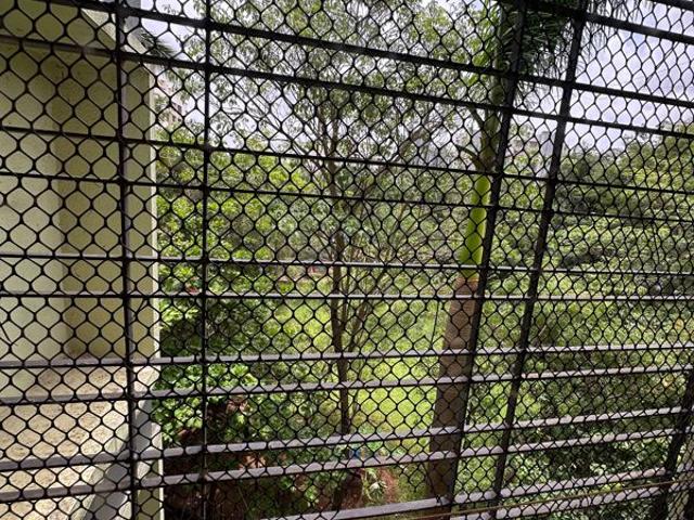 Rental | 1 BHK 450 Sq.Ft. Apartment in Mansi Regency