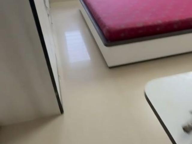 Rental | 1 BHK + 517 Sq.Ft. Apartment in Gayatri Bravuria Apartment