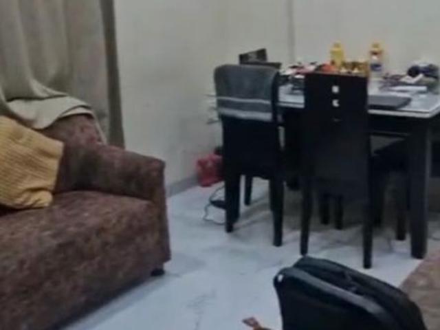 Rental | 1 BHK 559 Sq.Ft. Apartment in Kings Paradise