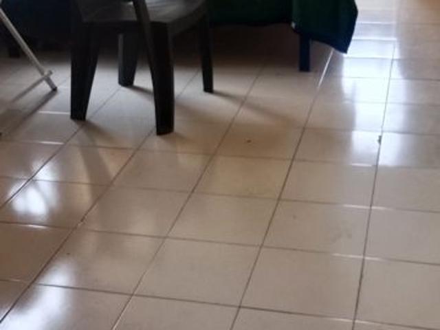 Rental | 1 BHK 560 Sq.Ft. Apartment in Patil Complex Bopodi