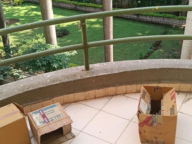 Rental | 1 BHK + 600 Sq.Ft. Apartment in Nalanda Garden