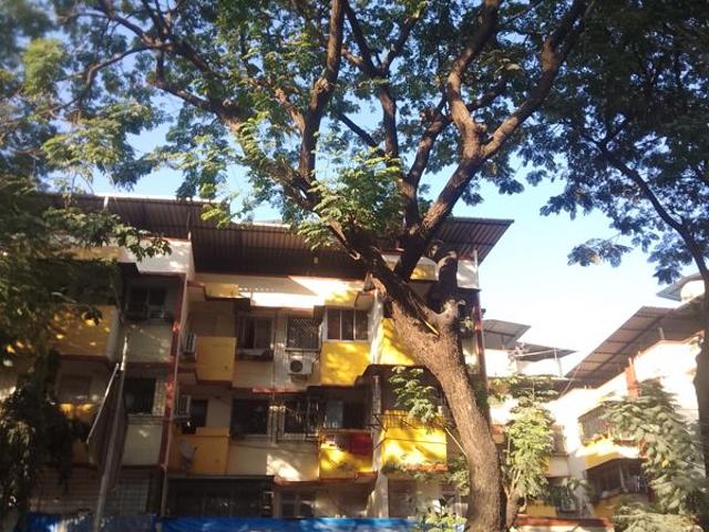 Rental | 1 BHK + 600 Sq.Ft. Apartment in Rosario CHS