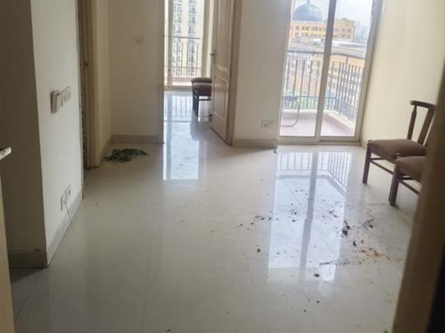 Rental | 1 BHK + 615 Sq.Ft. Apartment in Maxblis Grand Kingston