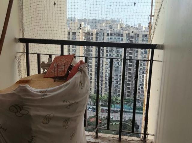 Rental | 1 BHK 615 Sq.Ft. Apartment in Maxblis Grand Kingston
