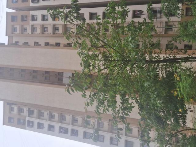 Rental | 1 BHK 620 Sq.Ft. Apartment in Megh Malhar Co op Housing Society