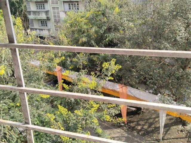 Rental | 1 BHK 630 Sq.Ft. Apartment in Nina Apartments