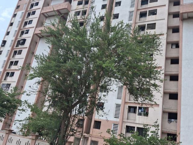 Rental | 1 BHK 645 Sq.Ft. Apartment in Megh Malhar Co op Housing Society