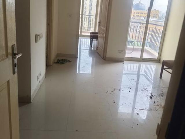 Rental | 1 BHK + 650 Sq.Ft. Apartment in Maxblis Grand Wellington