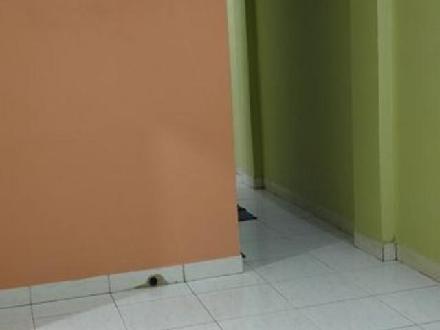 Rental | 1 BHK + Study Room 485 Sq.Ft. Apartment in Panvel