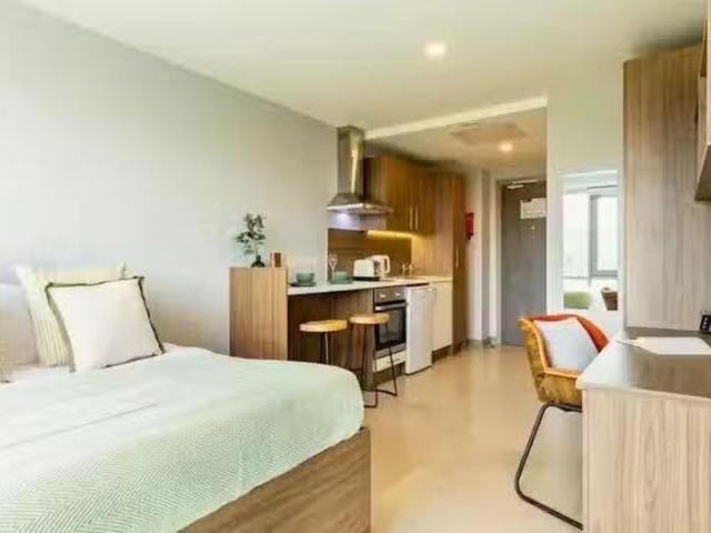 Unique 1 BR Classic Studio