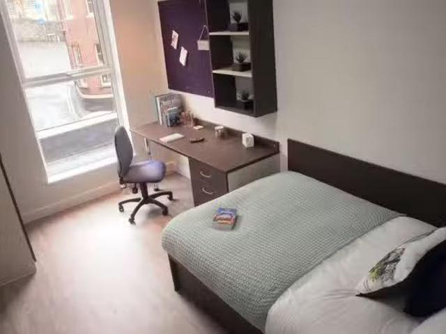 Charming 1 BR Neuadd Y Castell Silver Apartment room