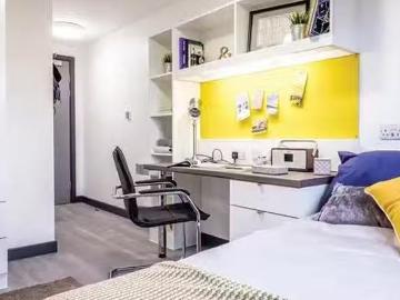 Unique 1 BR Premium Plus