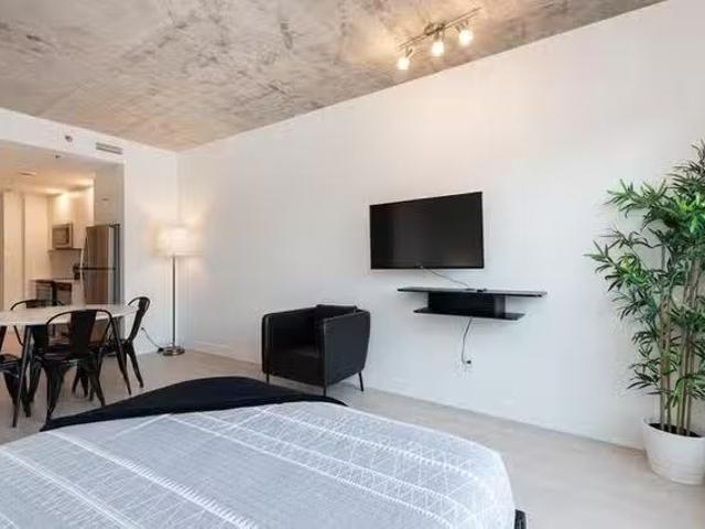 Unique 1 BR Rue Saint Urbain