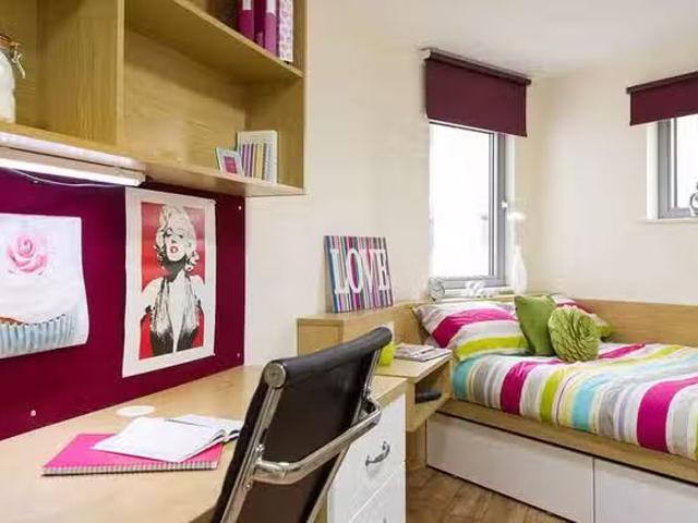 Nice 1 BR Silver Studio