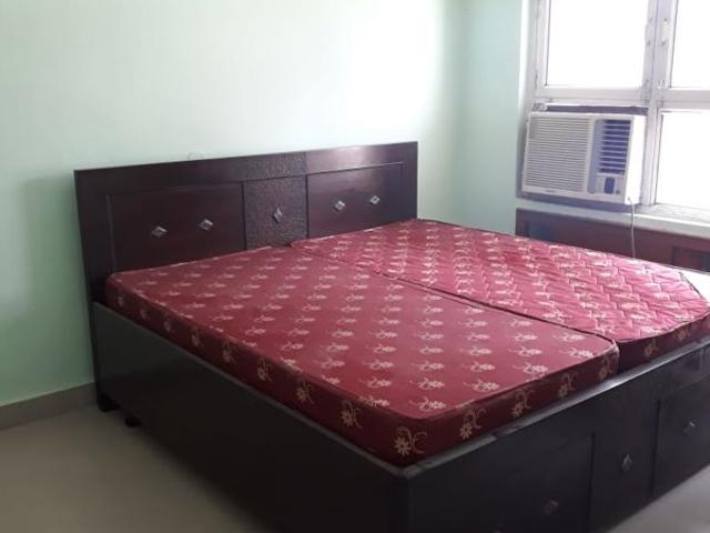 Rental | 1 Rk + 242 Sq.Ft. Independent House in Sector 14