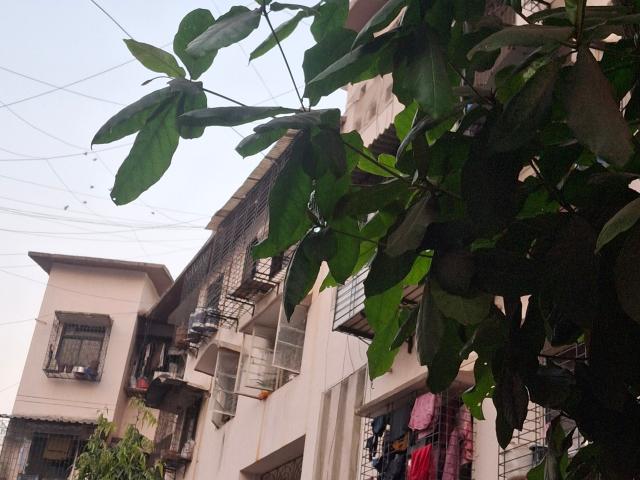 Rental | 1 Rk 388 Sq.Ft. Apartment in Gharonda Housing