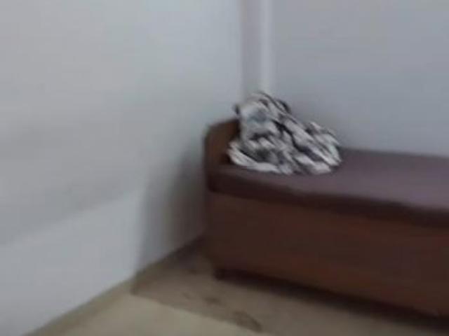 Rental | 1 Rk + Extra Room 375 Sq.Ft. Independent House in RWA Apartments Sector 12