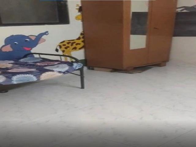 Rental | 1 Rk + Prayer Room 365 Sq.Ft. Independent House in Somnath Nagar