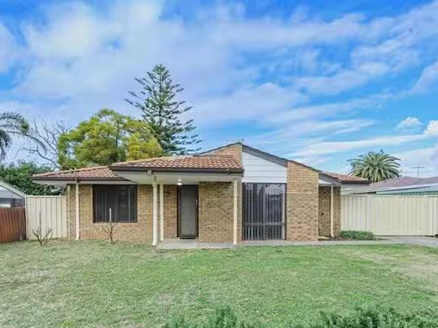 Unique 29 Steedman Loop, Mirrabooka, WA 6061