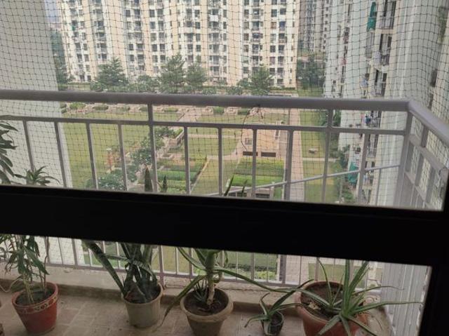 Rental | 2.5 BHK + Pooja Room,Servant Room 1250 Sq.Ft. Apartment in Spaze Privy