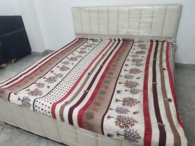Rental | 2.5 BHK + Pooja Room 1750 Sq.Ft. Independent House in Sector 9