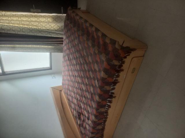 Rental | 2.5 BHK + Study Room 950 Sq.Ft. Independent House in Sector 55
