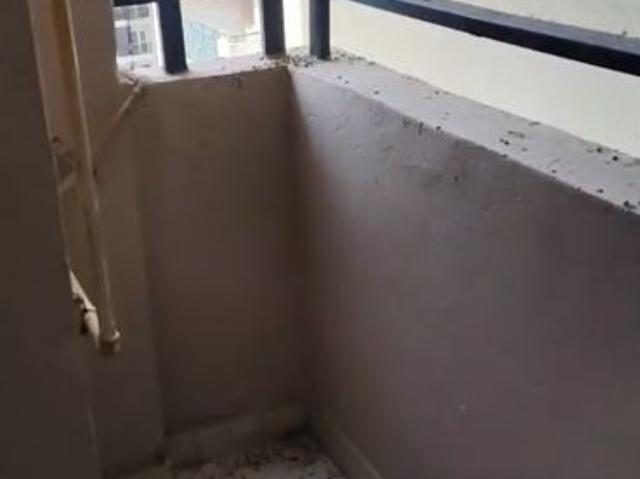 Rental | 2 BHK + 1085 Sq.Ft. Apartment in Nimbus The Golden Palm