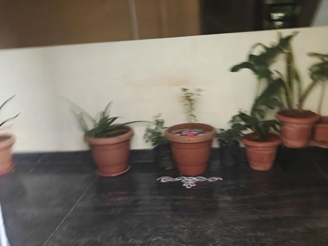 Rental | 2 BHK 1007 Sq.Ft. Apartment in Adarsh Greens