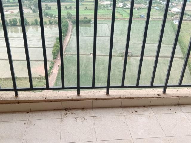 Rental | 2 BHK 1100 Sq.Ft. Apartment in Tata Eureka Park
