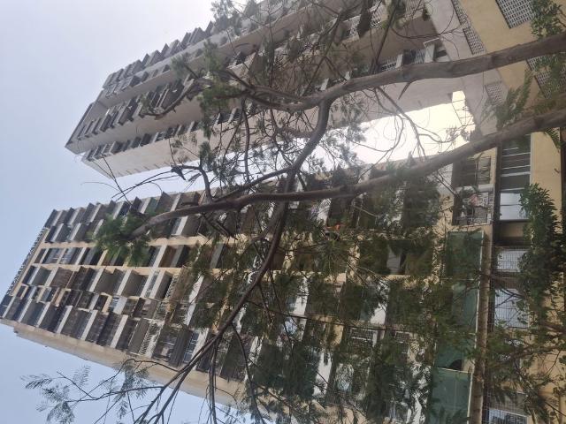Rental | 2 BHK 1269 Sq.Ft. Apartment in Vipul Mahavir Sapphire