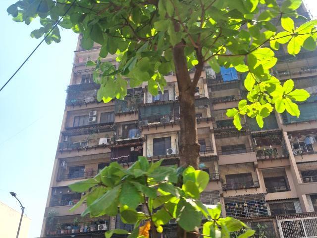 Rental | 2 BHK 1239 Sq.Ft. Apartment in Mahavir Heights Ghansoli
