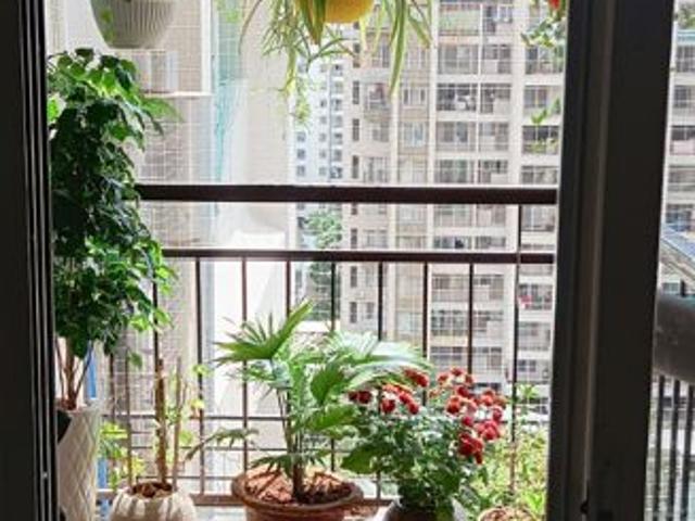 Rental | 2 BHK + 750 Sq.Ft. Apartment in Silver Oak