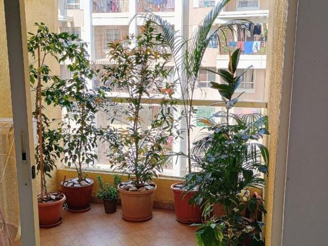 Rental | 2 BHK 782 Sq.Ft. Apartment in Pristine Allure