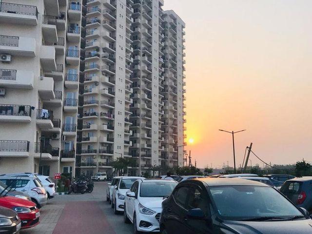 Rental | 2 BHK 800 Sq.Ft. Apartment in Signature Global The Roselia
